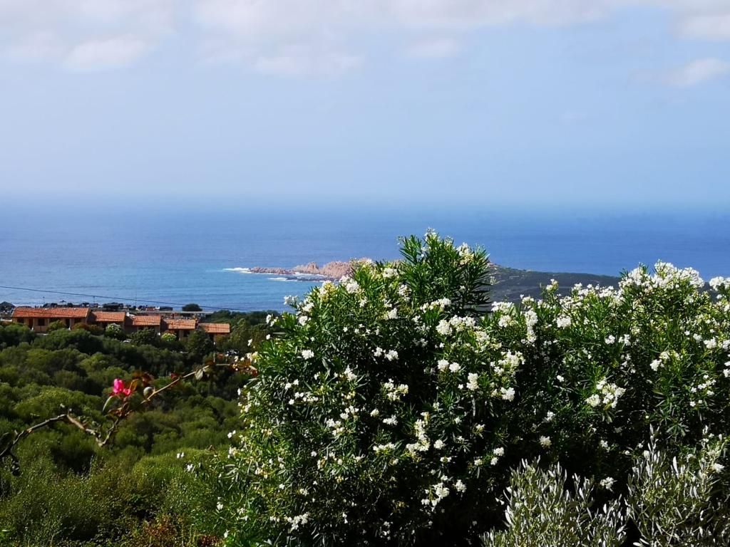 Panorama sul mare osservato dall’appartamento Elicriso